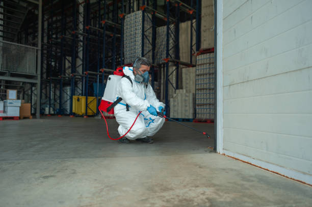 Pest Control for Warehouses in De Soto, MO